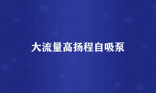 大流量高扬程自吸泵