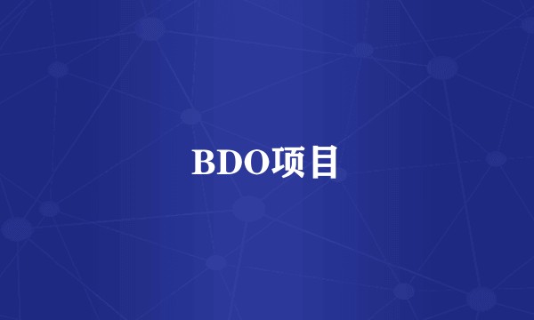 BDO项目