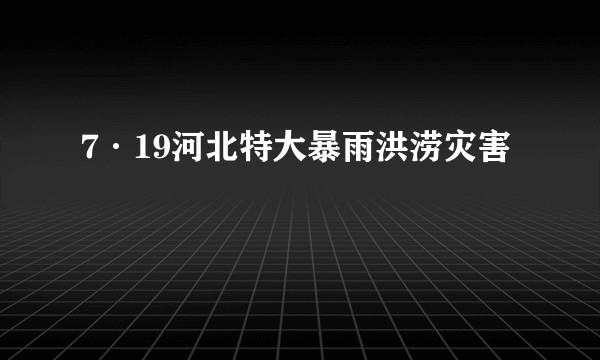 7·19河北特大暴雨洪涝灾害