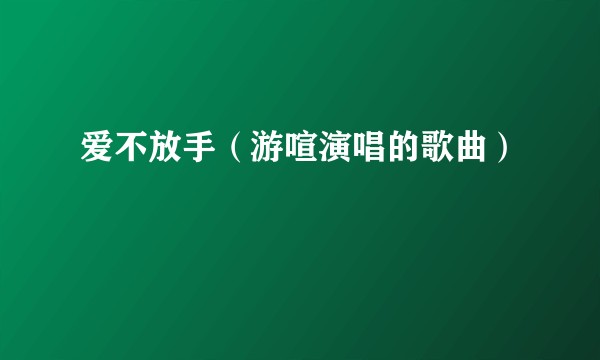 爱不放手（游喧演唱的歌曲）