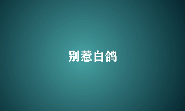 别惹白鸽