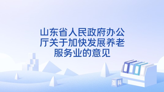 山东省人民政府办公厅关于加快发展养老服务业的意见