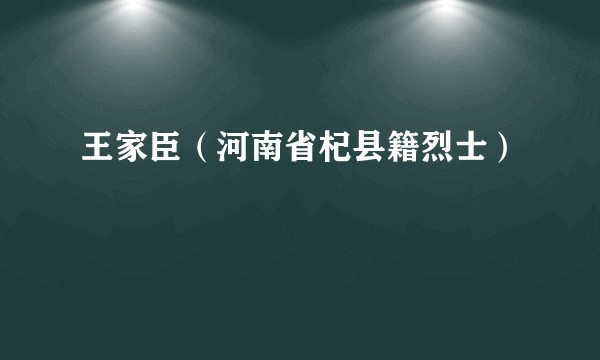 王家臣（河南省杞县籍烈士）