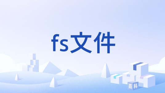 fs文件