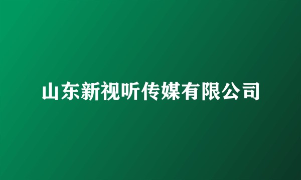 山东新视听传媒有限公司