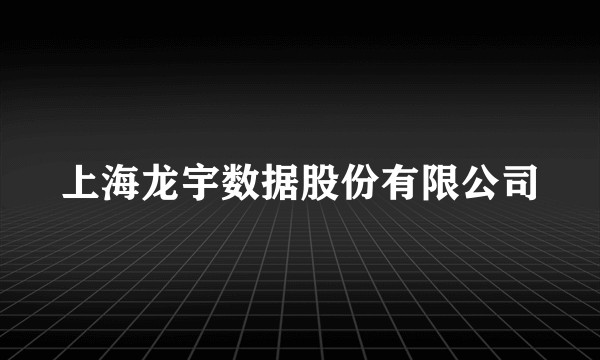 上海龙宇数据股份有限公司