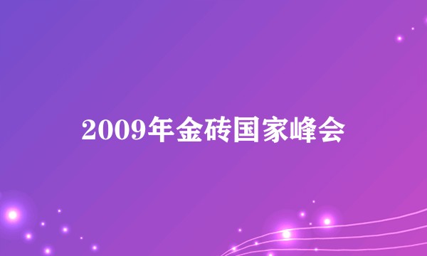 2009年金砖国家峰会