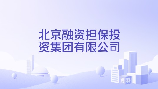 北京融资担保投资集团有限公司