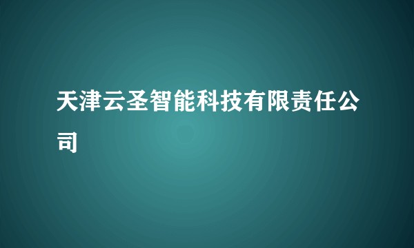 天津云圣智能科技有限责任公司