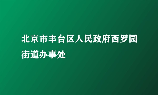 北京市丰台区人民政府西罗园街道办事处