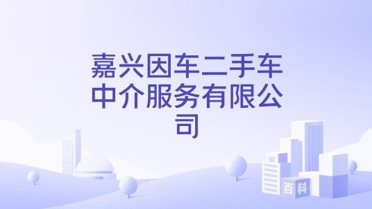 嘉兴因车二手车中介服务有限公司