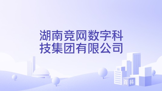 湖南竞网数字科技集团有限公司