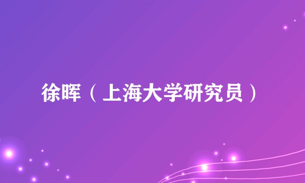 徐晖（上海大学研究员）