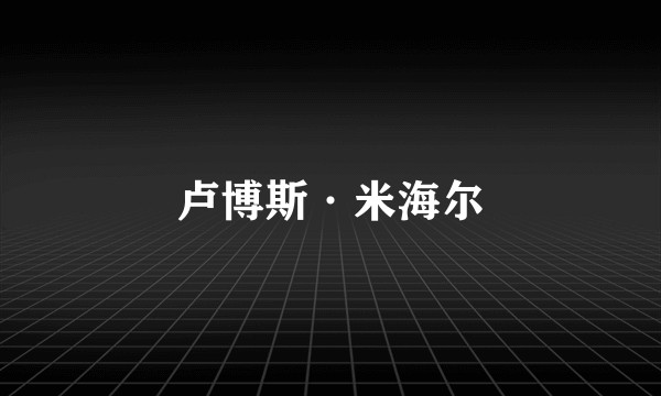 卢博斯·米海尔