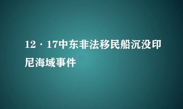 12·17中东非法移民船沉没印尼海域事件