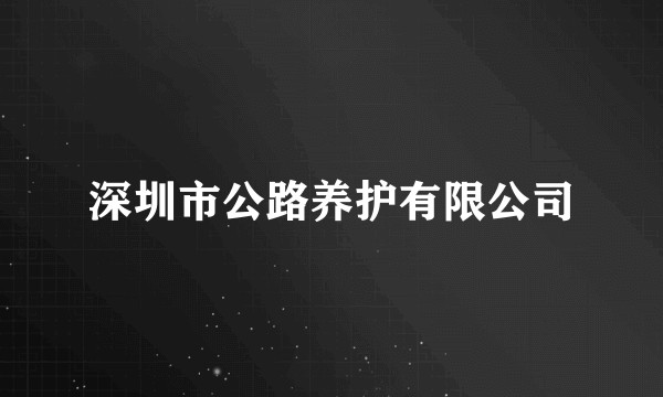 深圳市公路养护有限公司