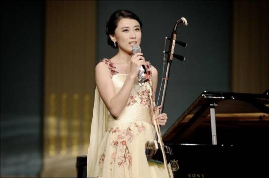 杨雪（中国二胡演奏者、中央音乐学院教授、博士生导师）