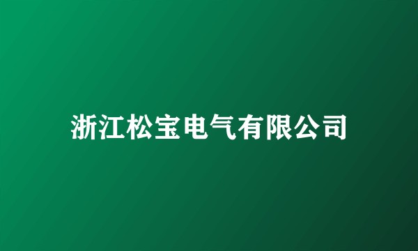 浙江松宝电气有限公司