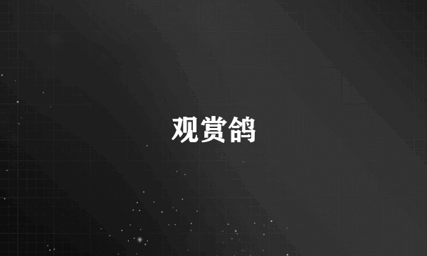 观赏鸽