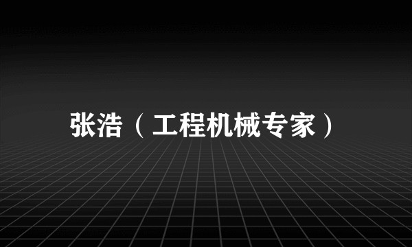 张浩(工程机械专家)