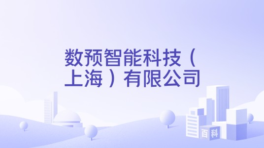 数预智能科技（上海）有限公司