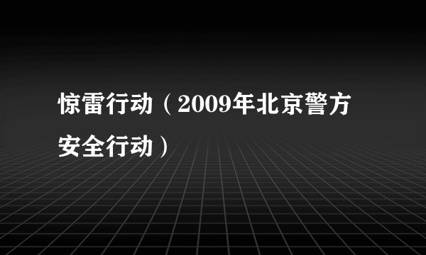 惊雷行动（2009年北京警方安全行动）