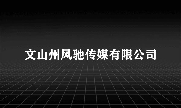 文山州风驰传媒有限公司