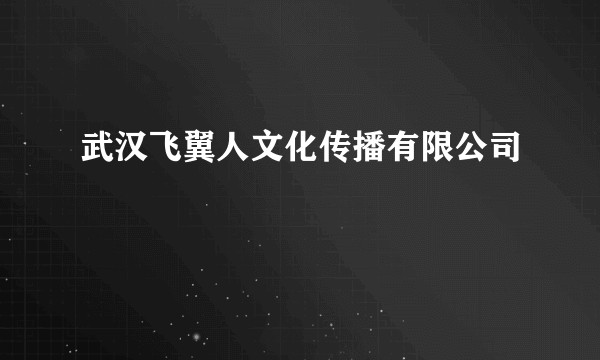 武汉飞翼人文化传播有限公司