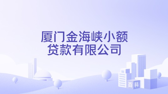 厦门金海峡小额贷款有限公司