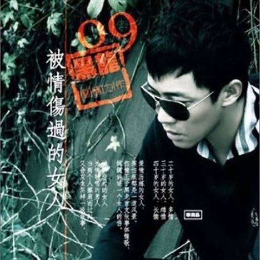 被情伤过的女人（2009年黑龙演唱的歌曲）