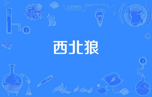 西北狼（马修·连恩演奏的乐曲）