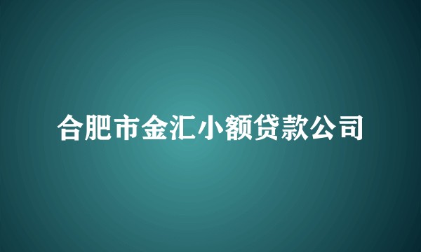 合肥市金汇小额贷款公司