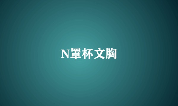 N罩杯文胸