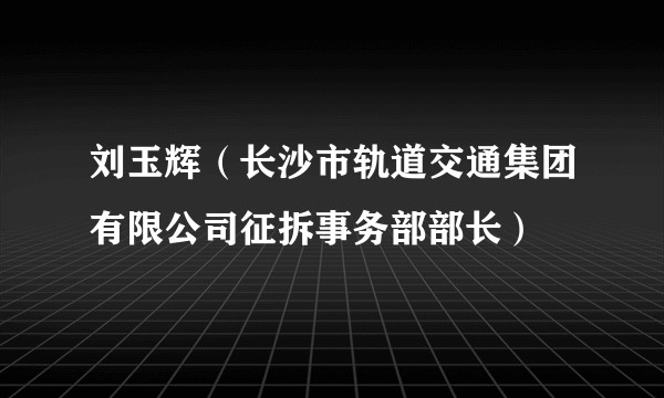 刘玉辉（长沙市轨道交通集团有限公司征拆事务部部长）