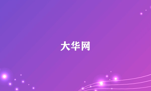 大华网