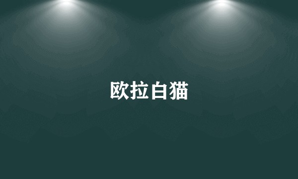 欧拉白猫