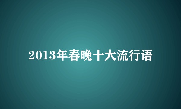 2013年春晚十大流行语