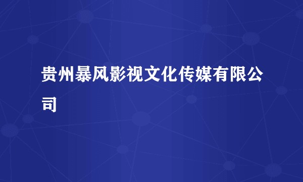 贵州暴风影视文化传媒有限公司