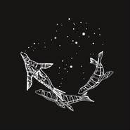 MIDNIGHT（coldplay歌曲）