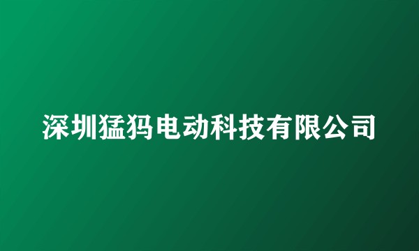 深圳猛犸电动科技有限公司