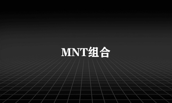 MNT组合