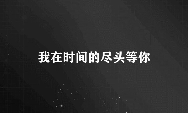 我在时间的尽头等你