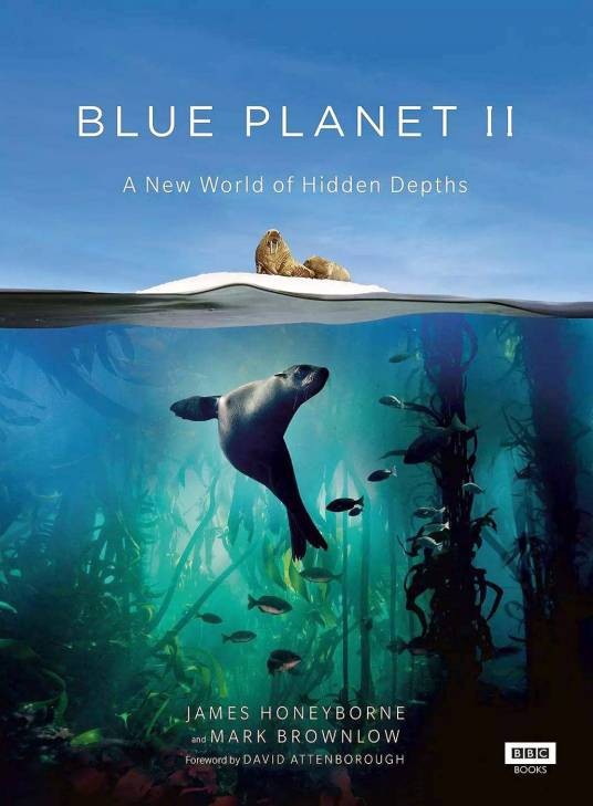 蓝色星球2（2017年英国广播公司出品的电视纪录片）