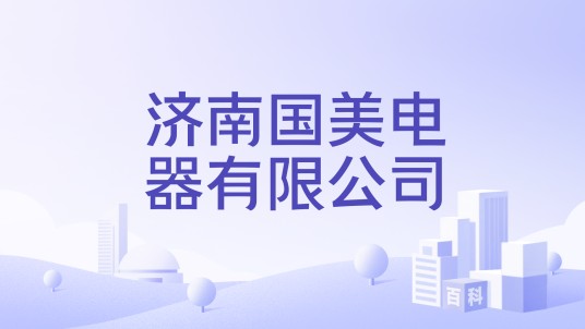济南国美电器有限公司