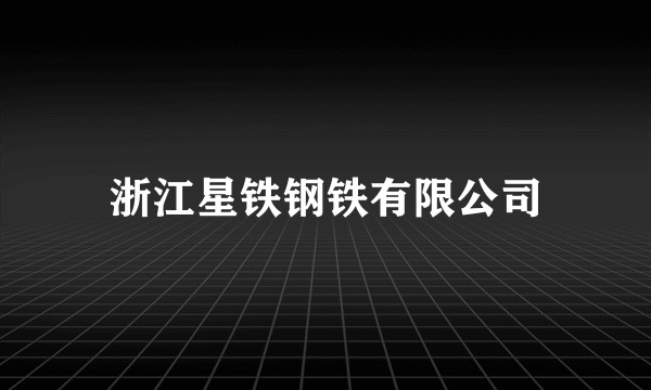 浙江星铁钢铁有限公司