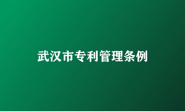 武汉市专利管理条例