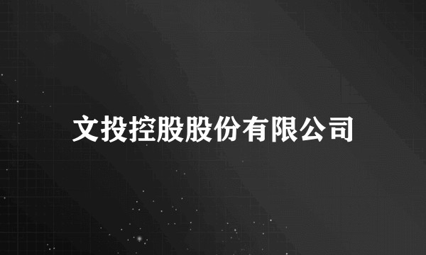 文投控股股份有限公司
