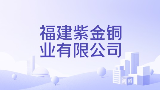 福建紫金铜业有限公司