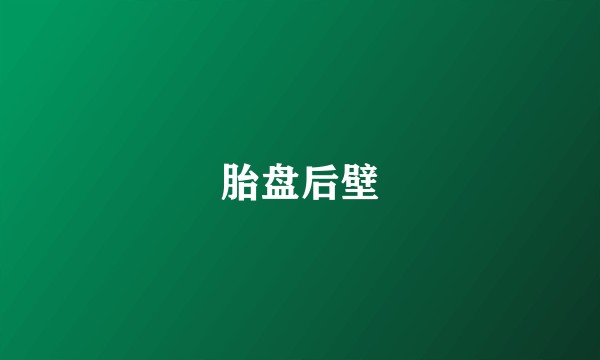 胎盘后壁