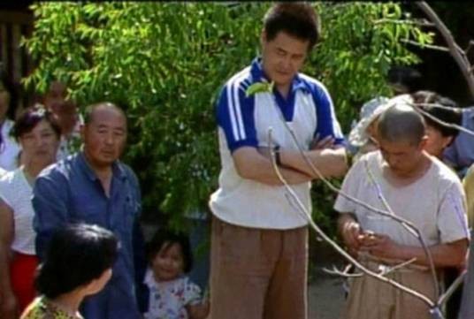 一村之长（1993年朱一民执导的电视剧）